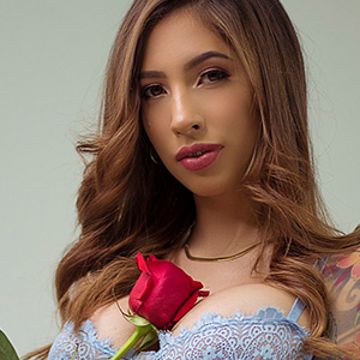 Consideraciones de Privacidad