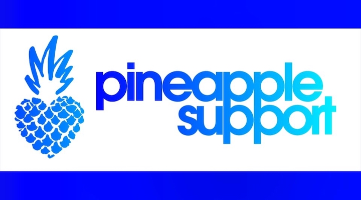 pineapple-support